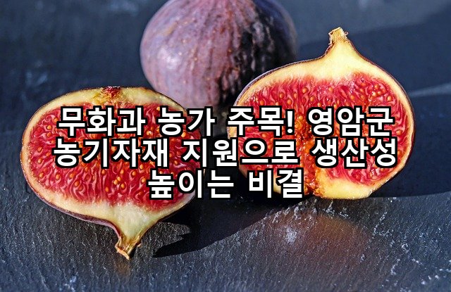 무화과 농가 주목! 영암군 농기자재 지원으로 생산성 높이는 비결