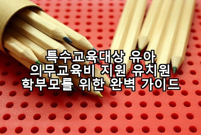 특수교육대상 유아 의무교육비 지원 유치원 학부모를 위한 완벽 가이드